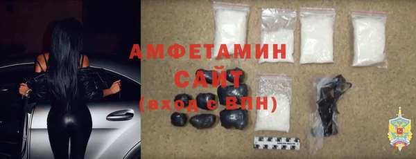 сатива Гусев