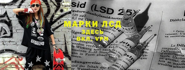 сатива Гусев
