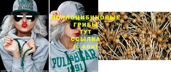 гашик Михайловка