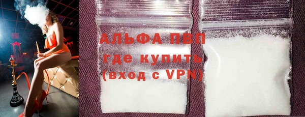 сатива Гусев