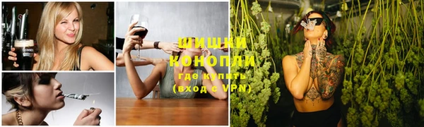 герыч Мегион