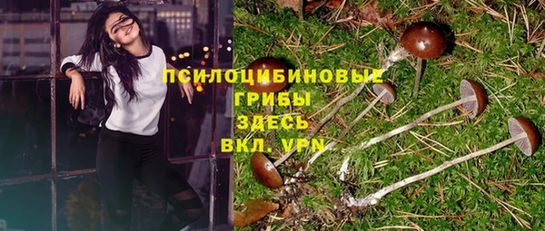 соль ск Гусиноозёрск