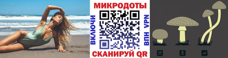 Псилоцибиновые грибы Psilocybine cubensis  Меленки 